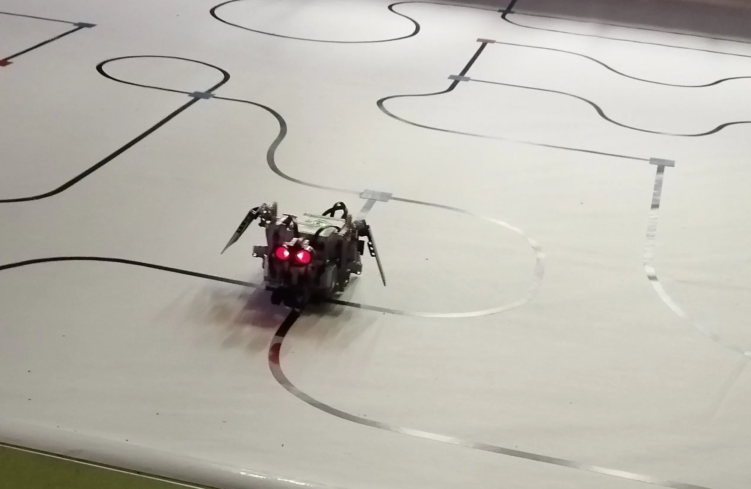 Our amazing mindstorm robot solving one of the mazes. Its a dragon with moving wings and red glowing eyes to detect obstacles.