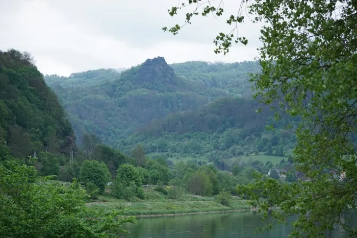 Blick vom Elbtal in die Böhmische Schweiz. Ein Felsen ragt aus dem Wald am Talhang hervor.