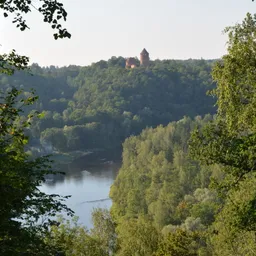 Eine Burg aus rotem Ziegel steht vor einem Flusstal mitten im Wald.