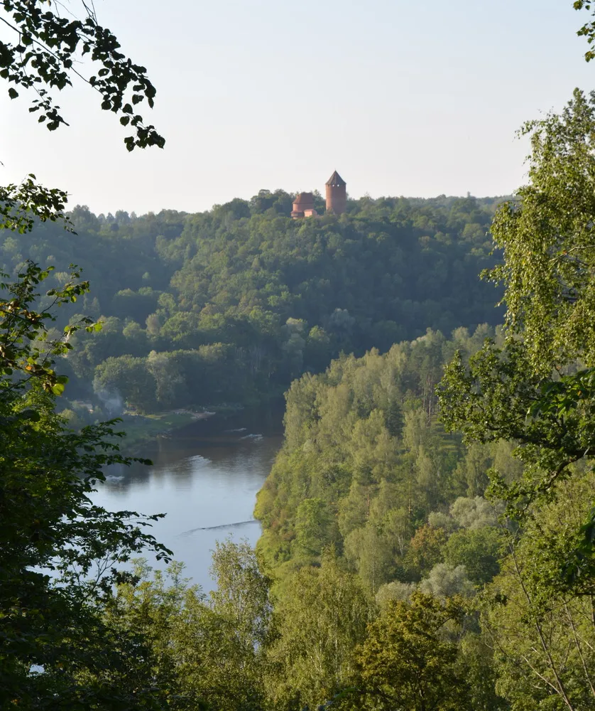 Eine Burg aus rotem Ziegel steht vor einem Flusstal mitten im Wald.