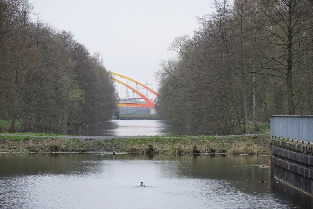 Schnurgerade Wasserstraße mit Landbrücke in der Mitte umgeben von Wald. Im Hintergrund eine orange-gelbe Brücke. Im Vordergrund eine Ente.