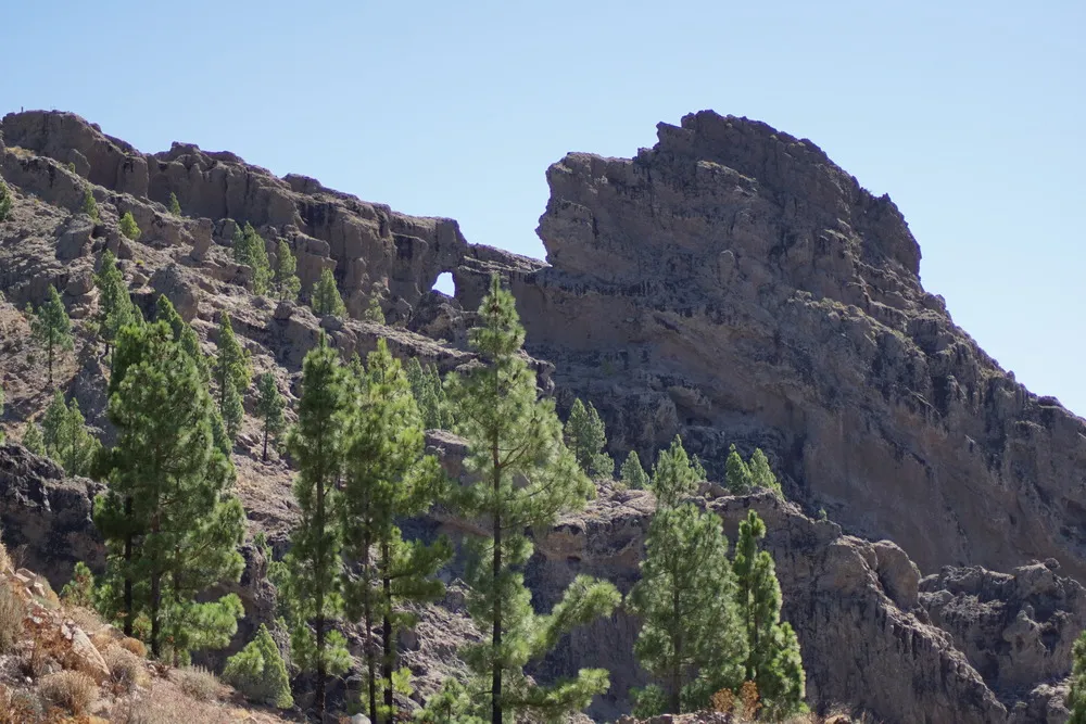 Ein paar Nadelbäume stehen vor einer großen Felskulisse auf trockenem, steinigen Boden. Im Felsmassiv im Hintergrund ist ein kleines Loch zu erkennen.