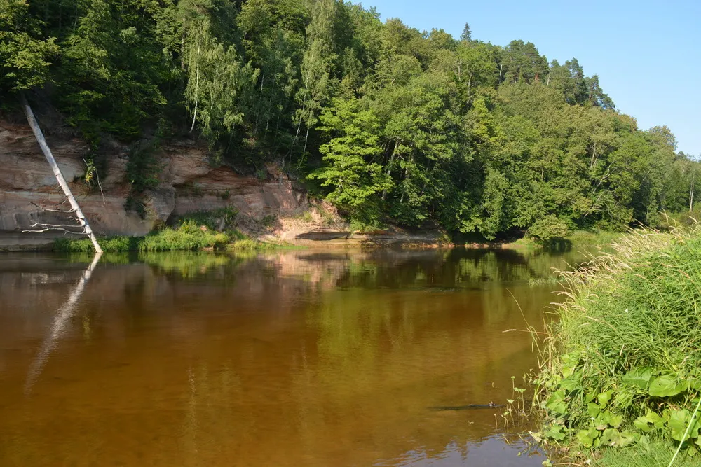 Ein großer Fluss zieht an einer Felswand vorbei und verschwindet ein einem Bogen im Wald.