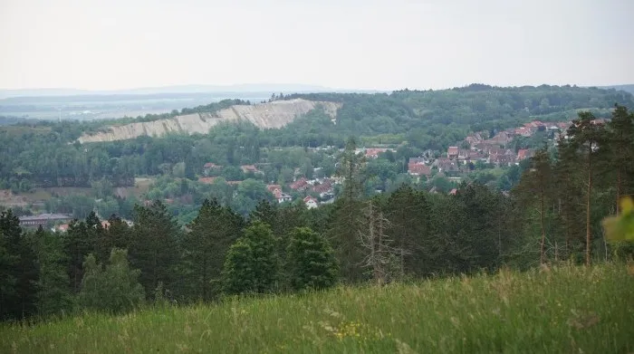 Ausblick von meiner Schutzhütte am Waldesrand runter auf die Stadt Goslar.