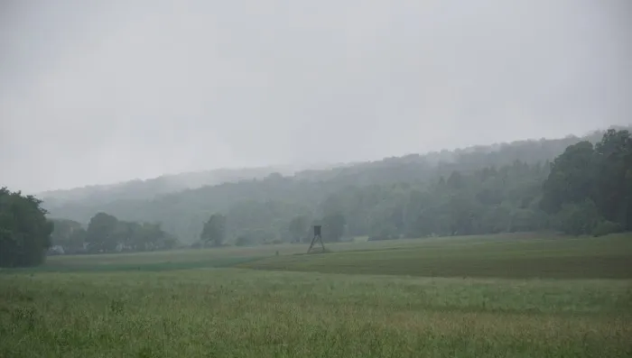 Landregen taucht ein von Wäldern umgebenes Feld in einen mystischen, grauen Schleier. Ein Jägerstand steht in der Mitte.