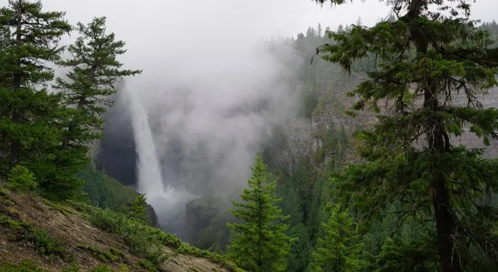 Ein 141 Meter hoher Wasserfall fällt in ein von Nadelwald umgebenes Tal. Durch den Nebel ist er kaum sichtbar.