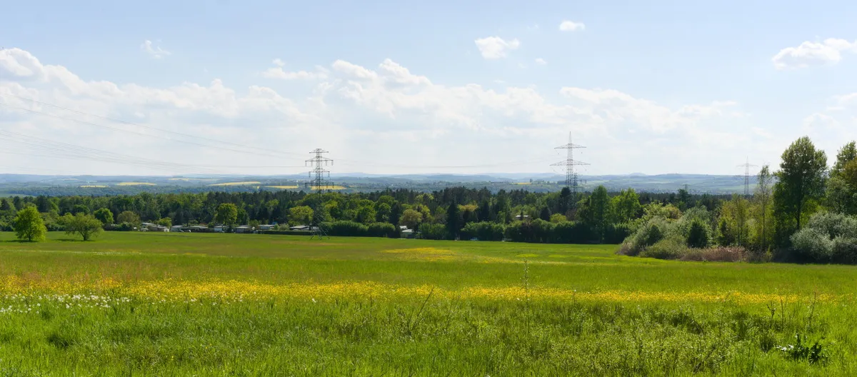 Ausblick vom Feldrand auf eine hügelige Landschaft voller Wälder und Felder.