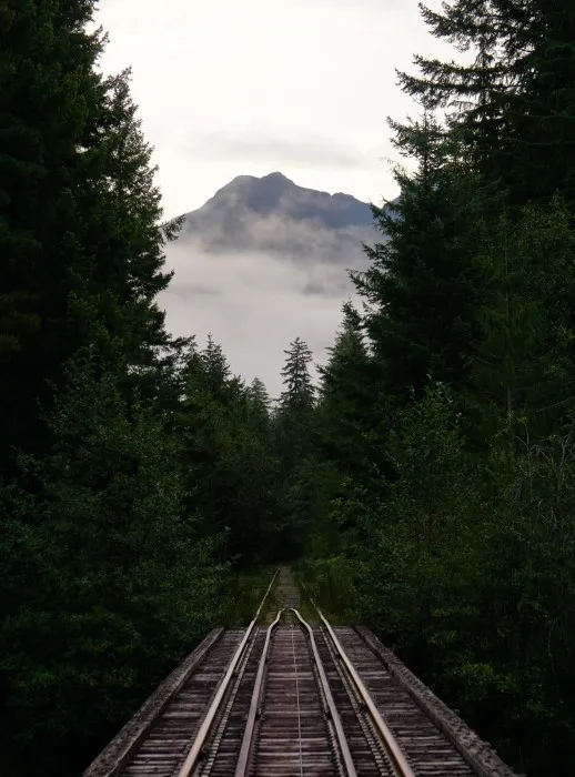 Ein Gleis in der Mitte des Vordergrundes überquert eine Holzbrücke und verschwindet weiter hinten im Wald. Darüber streckt sich ein weit entfernter und sehr hoher Berg aus dem Nebel.