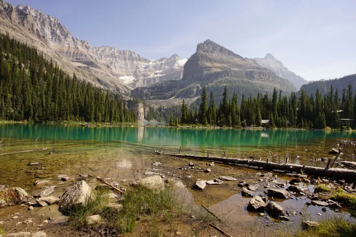 Türkiser Gletschersee mit glasklarem Wasser vor einer teilweise mit Schnee bedeckten Gebirgskette. Am Fuße der Berge ist ein Nadelwald. Der Vordergrund markiert das Ende des Sees mit einzelnen Felsbrocken und einem Baumstamm.