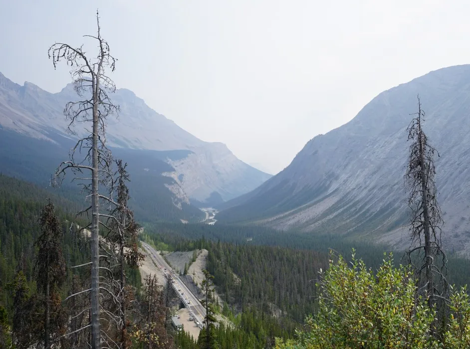 Eine geteerte Straße schlängelt sich durch ein großes und breites Tal. Nadelwald füllt den Boden des Tals.