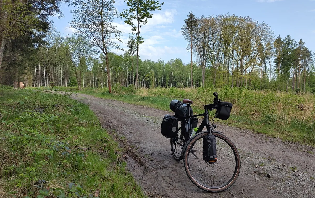 Mein Fahrrad auf einem Waldweg. Eine Lenkertasche, zwei Taschen am Gepäckträger, ein Packsack oben drauf und an der Gabel zwei Zelttaschen.