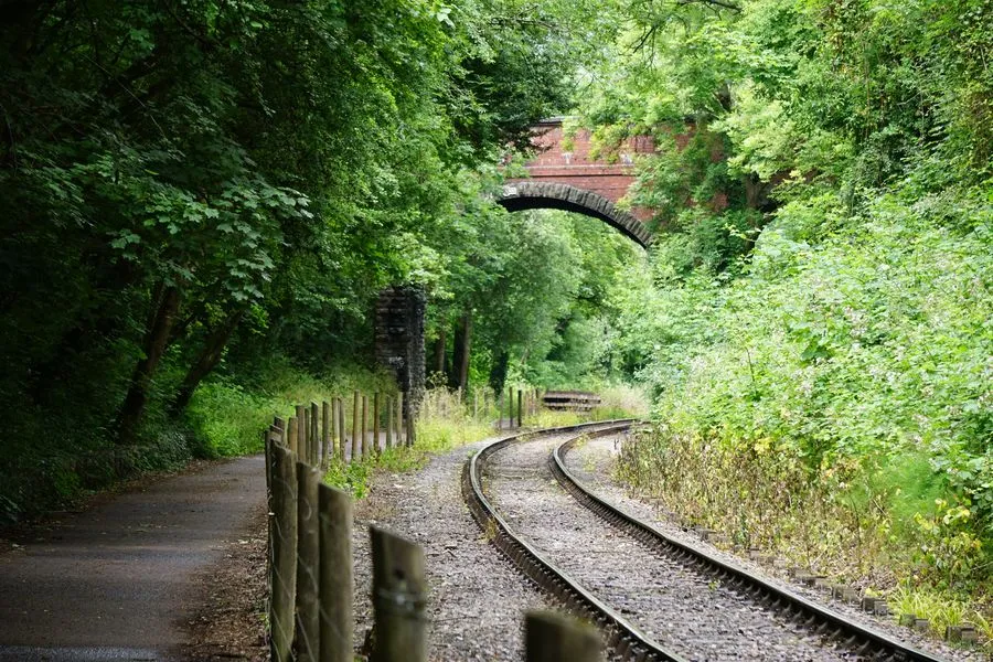 Radweg und alte Bahnstrecke in einer Rechtskurve unter einer Brücke umgeben von Grün. Ein niedriger Drahtzaun mit Holzpfählen trennt die parallelen Wege.