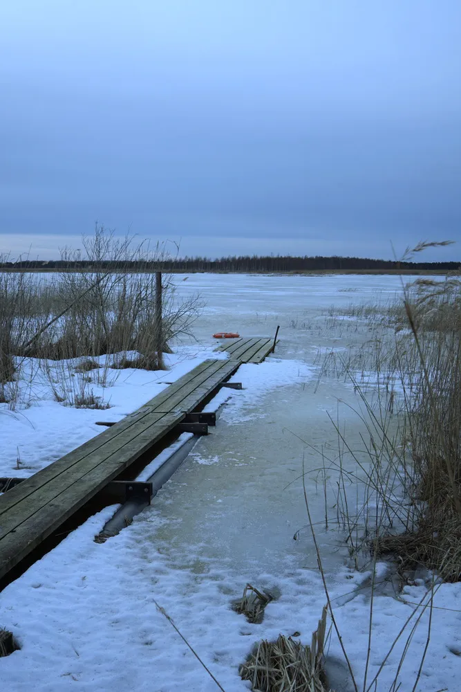 Ein Holzsteg führt durch Schilf auf einen vollständig eingefrorenen See.