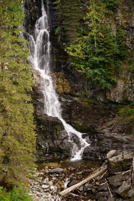 Ein sehr hoher Wasserfall stürzt eine schroffe Felswand hinunter, umgeben von üppigem Nadelgrün.