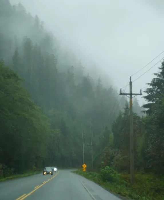 Eine Landstraße mit gelben Mittelstreifen im verregneten Nebelwald. Rechts davon ein Strommast. Zwei Autos mit Licht kommen entgegen.